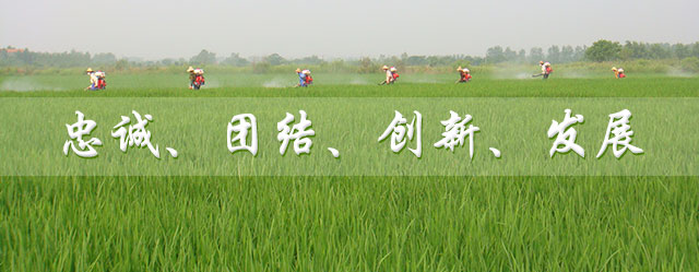 麻城粮食储备