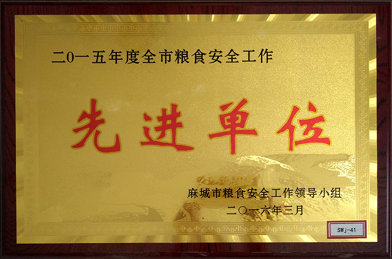 麻城金玉米业