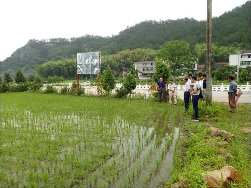 麻城粮食储备